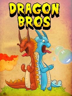 game pic for Dragon Bros
